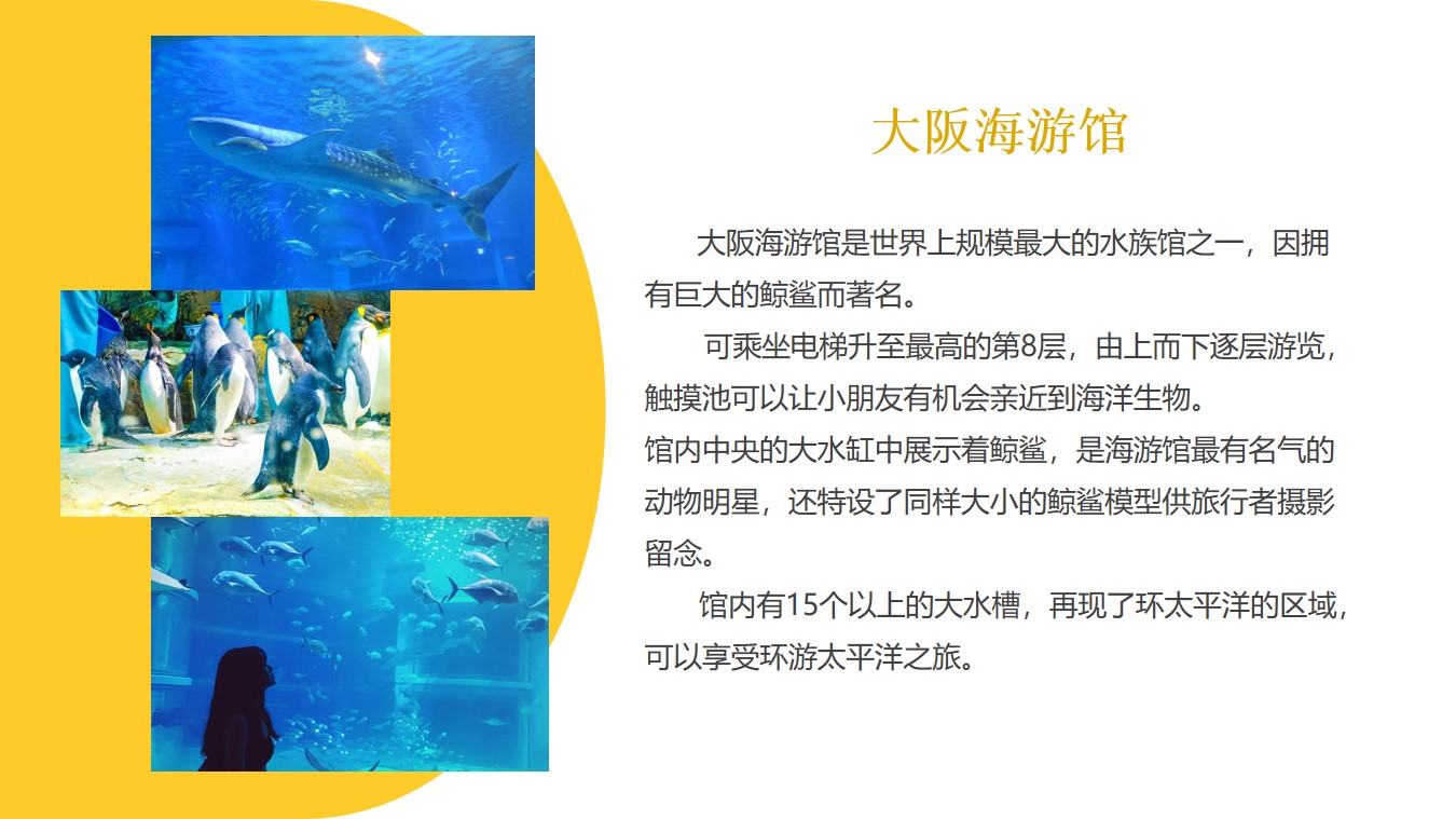 中日学校研学交流行程